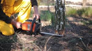 Best Lawn Maintenance Plans  in Kalifornsky, AK