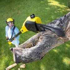 Best Arborist Consultation Services  in Kalifornsky, AK