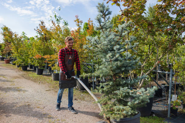Best Pest Control for Lawns  in Kalifornsky, AK